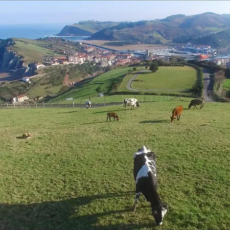 Апартаменты San Jose - Ongi Etorri